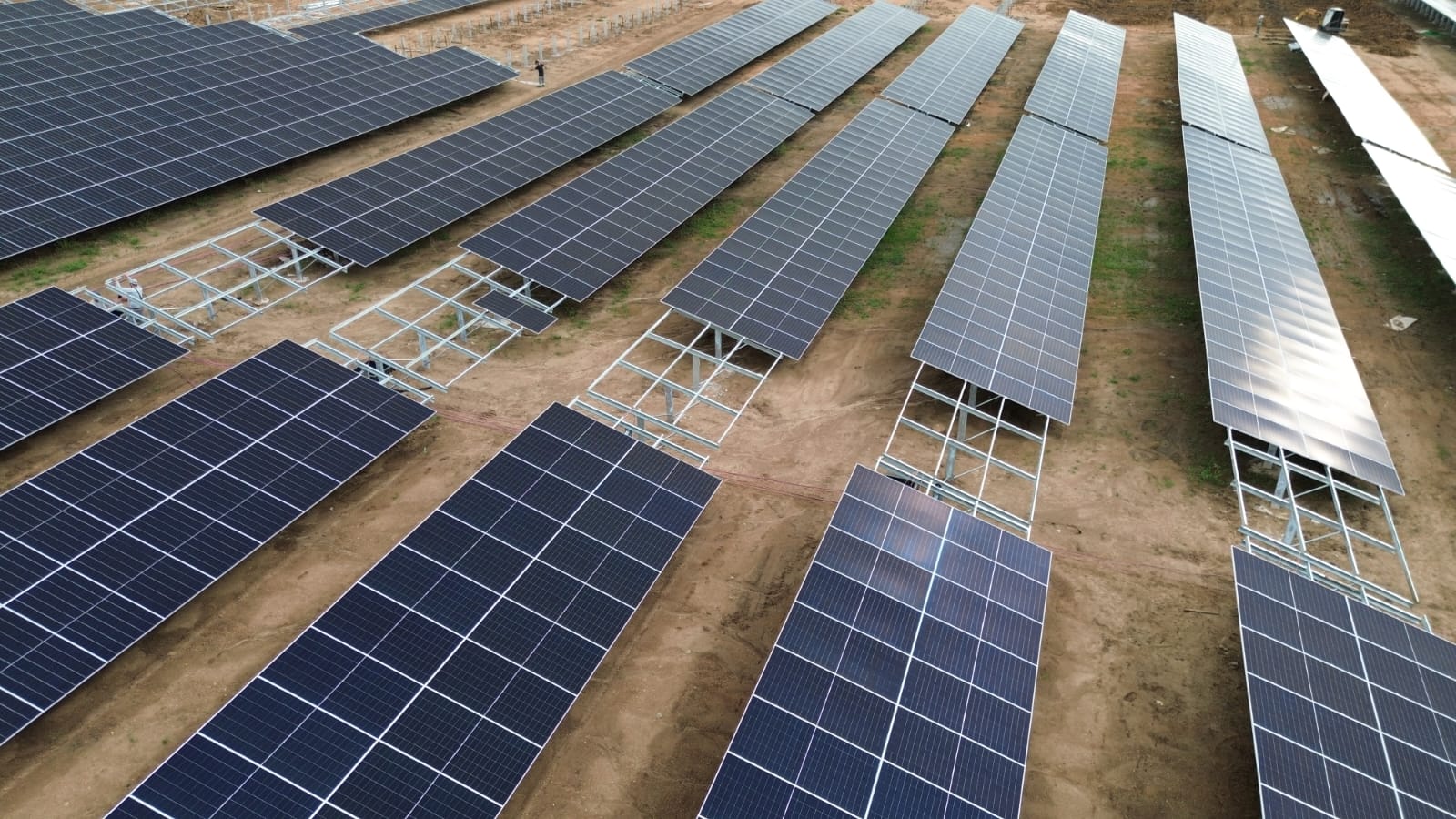 Fileiras de painéis solares alinhadas, com uma pessoa entre elas dando escala